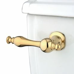 Best Pirce 🌟 Kingston Brass Naples Toilet Tank Lever ✨