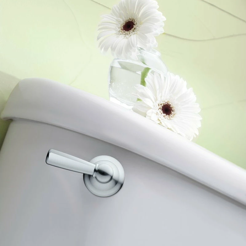 Buy 🔥 Moen Sage Chrome Tank Lever DN6801CH 🥰 4 Buy 🔥 Moen Sage Chrome Tank Lever DN6801CH 🥰 - Image 2