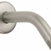 Cheap ✨ Hansgrohe USA Hansgrohe Raindance Showerarm Standard 6" Brushed Nickel 🥰