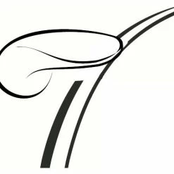 Outlet ✔️ American Standard Brands American Standard 738172-0200A TRIP LEV ASSY-RIGHT HAND-45 D- - White 🛒